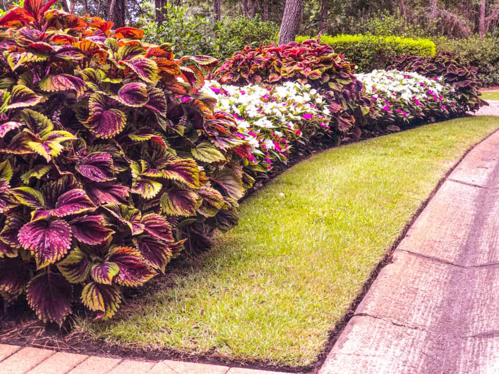 Hero image for Pro Works Landscape Management, LLC